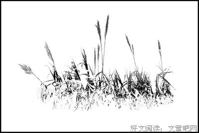 蒹葭苍苍优美的句子