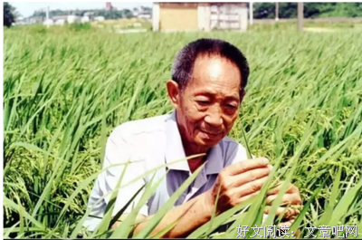 袁隆平放弃千亿首富的那天，14亿中国人急了：这才是他的真面目！