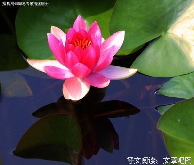你恋爱时找错的男人，不太可能在婚姻里变对