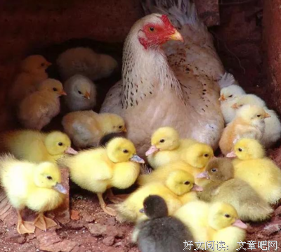 《老妈操碎心》经典影评有感