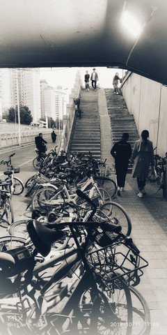 《盲·道》经典观后感有感