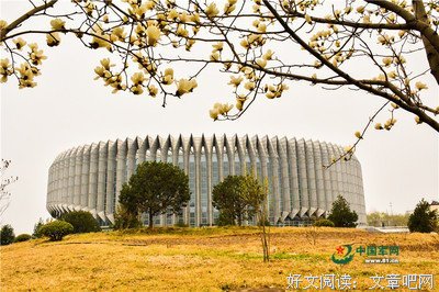 聆听 | 种下一树菩提
