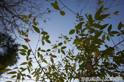 最全的《逆光么那瞬》经典句子