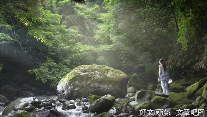 《拿破仑之村》观后感100字