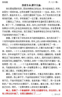 《王者》观后感摘抄