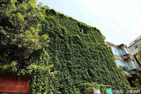 有名空姐想跟家属道歉：对不起，我真不想这样！