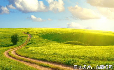 书中漫步读后感1000字