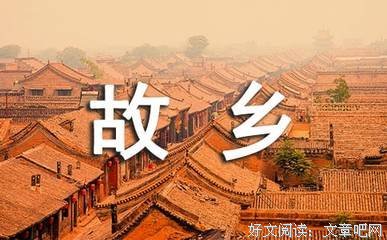故乡的食物读后感精选