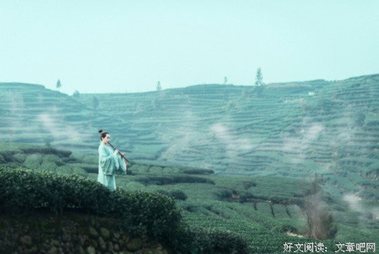 愿有一个小院子，安心喝茶过日子