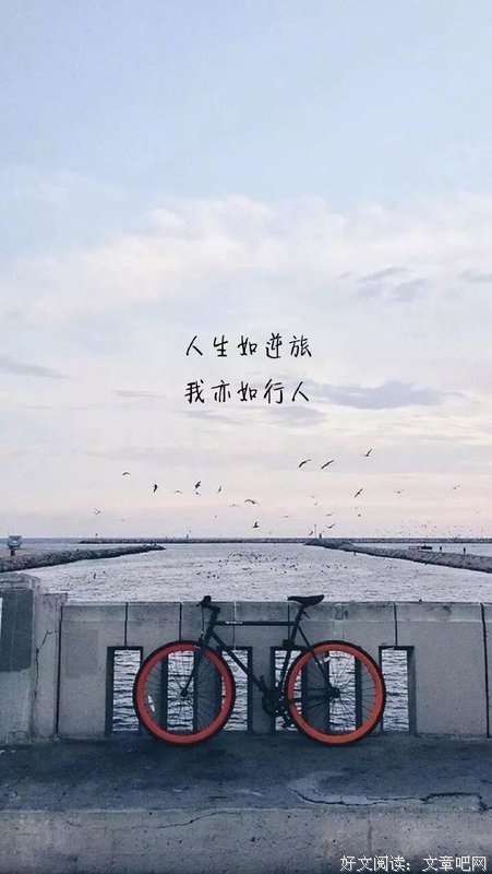 关于一见如故的语句
