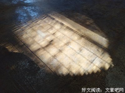 一以贯之的语句摘抄_关于一以贯之的语句