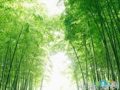 力所能及的语句摘抄_关于力所能及的语句