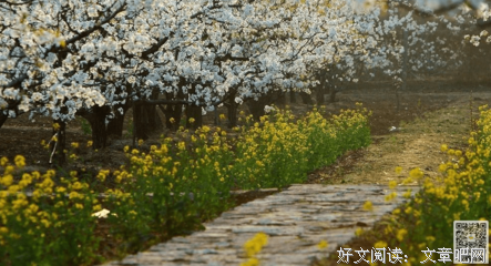 爱句子
