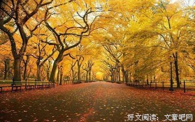 有关句集的句子