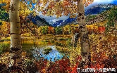 《感同作我受》的句子