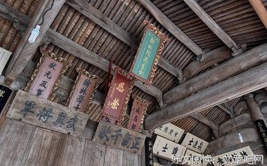 《湮灭》影评摘抄