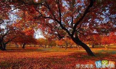 作文使用好词好句