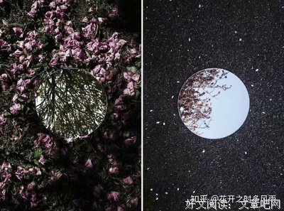 有关卿这把爱，倾家而爱的句子