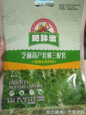 如果种子不死经典读后感有感