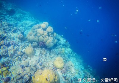 上帝从不眨眼读后感锦集