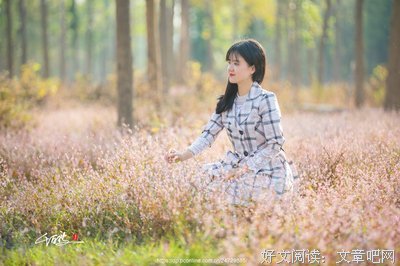我也曾经憧憬过 种就也来心不结果优美的句子