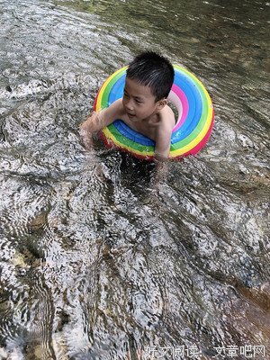 土土的优美句子