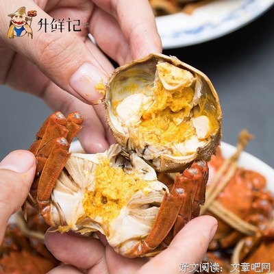 《侠隐》经典观后感集