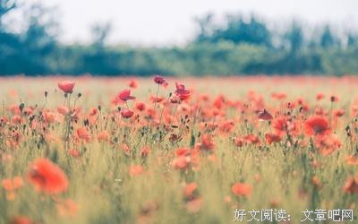 关于我喜欢的优美句子