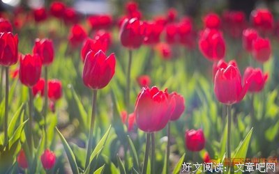 内去出情＆友情＆爱情经典名句