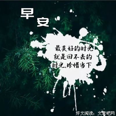 人生的优美句子