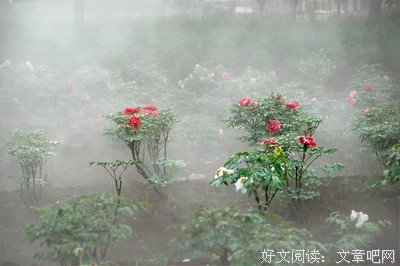 千姿百态格言警句