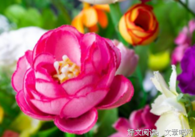 关于行之有效的名言