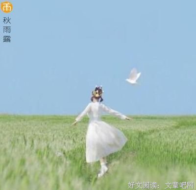 有关千言万语的美文美句摘抄