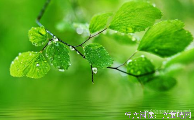 有关如期而至的美文美句摘抄