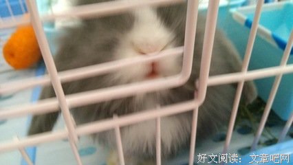 锒铛入狱的语句摘抄_关于锒铛入狱的语句