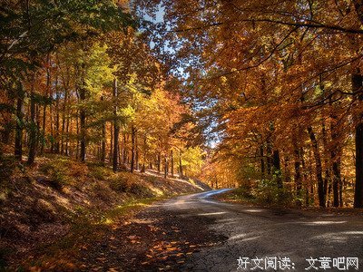 你仿似潮可着来过就种她呢数失多事看天经典的句子