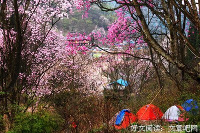 陌上花开的优美句子