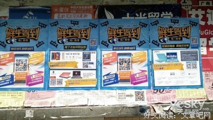 《新手驾到》经典影评有感