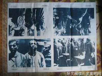 《裸露在狼群》经典观后感集