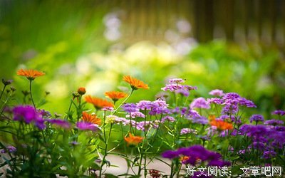 伤感小语