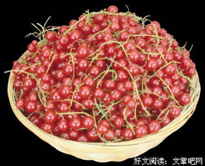 关于刚刚着便民了个樱桃的句子