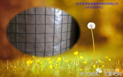 心情，留给懂你的人！