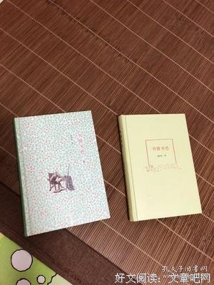 书情书色二集读后感100字