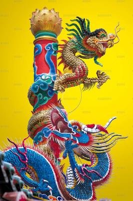 有关望子成龙的美文美句摘抄
