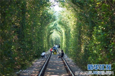 《南京爱情》影评100字
