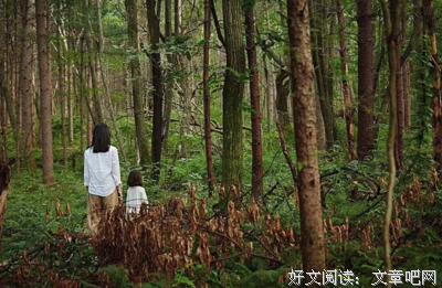 《苌山虎》经典影评有感