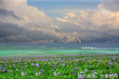 《人生的约定》经典影评1000字