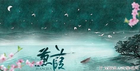 【天南大脱单】表白墙（08.16）