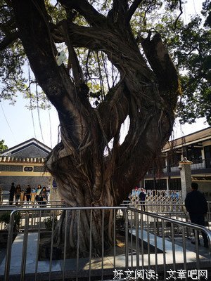 有关攸宁集的句子