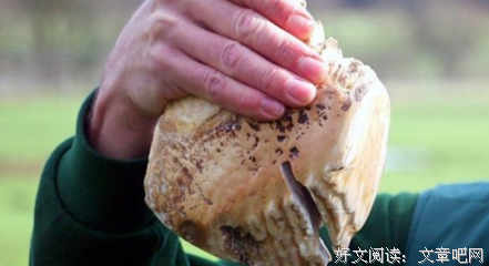 人性的弱点句子
